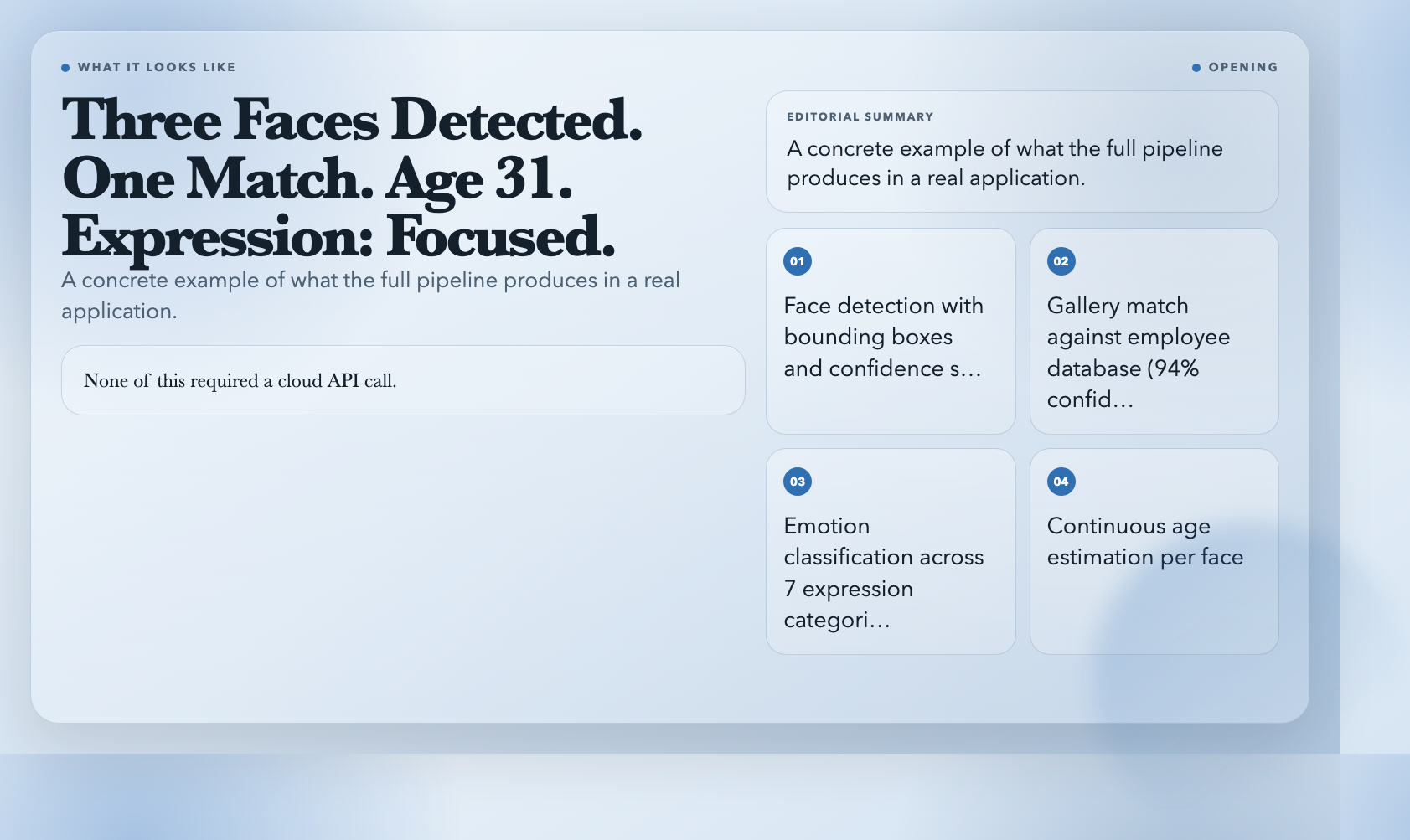 What the full face analysis pipeline produces in a real application