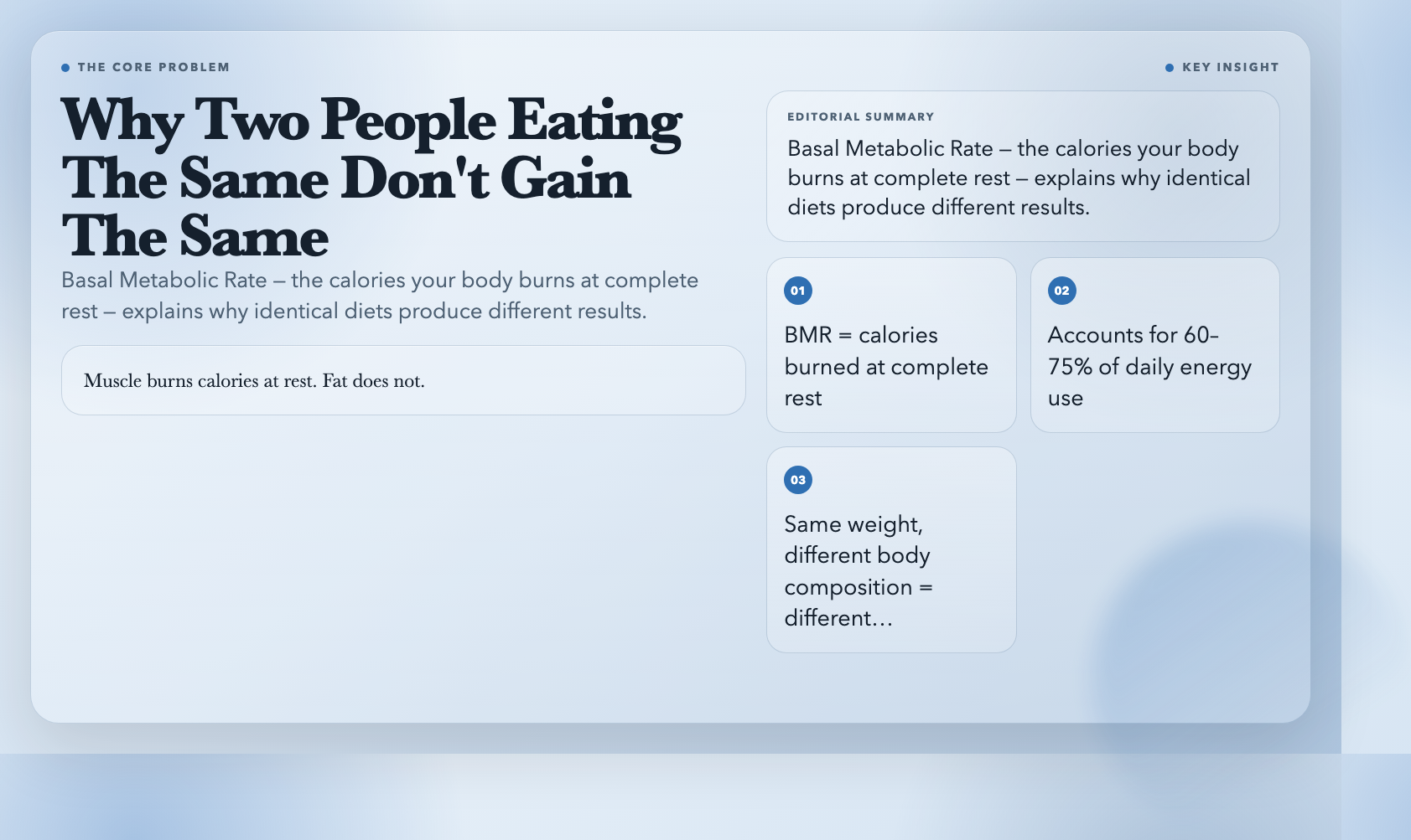 BMR explains weight differences