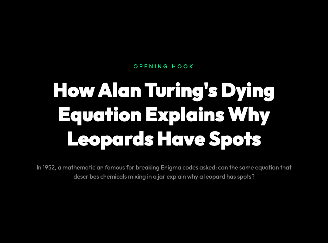 Opening hook: How Alan Turing's equation explains leopard spots