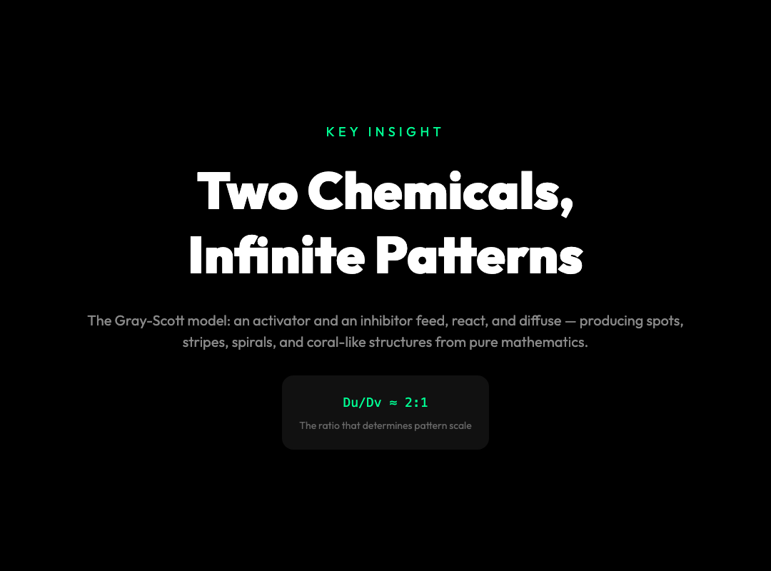Two Chemicals, Infinite Patterns