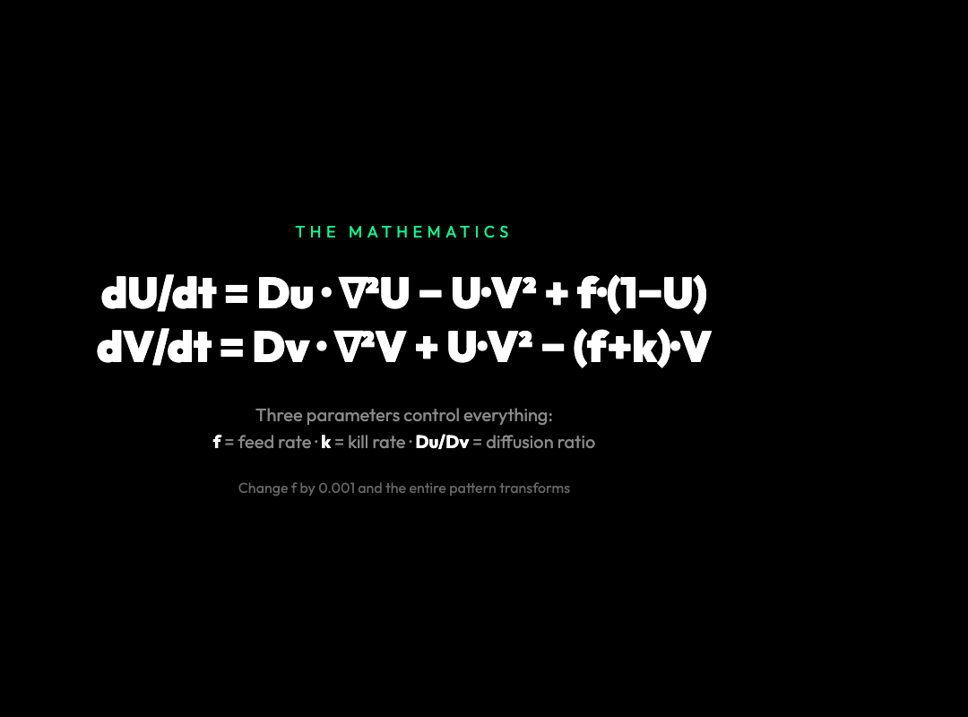 Gray-Scott equations