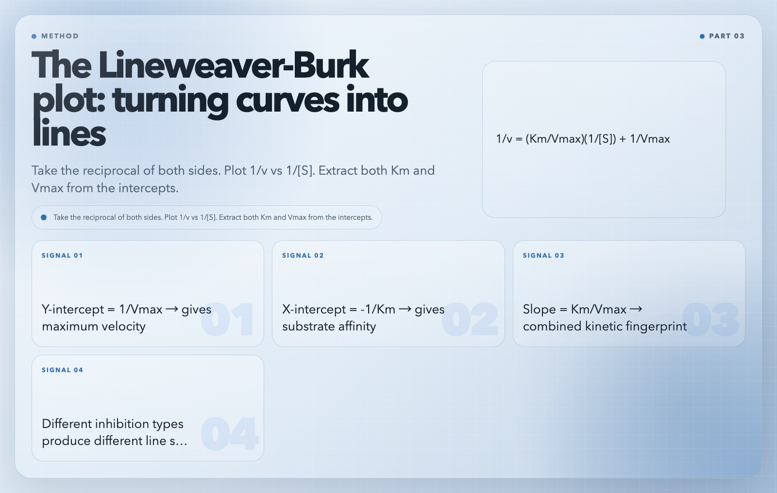 Lineweaver-Burk double reciprocal plot analysis