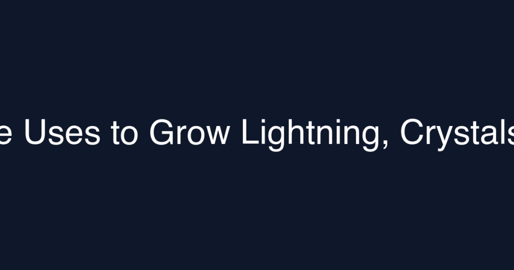 The Algorithm Nature Uses to Grow Lightning, Crystals, and Blood Vessels