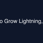 The Algorithm Nature Uses to Grow Lightning, Crystals, and Blood Vessels