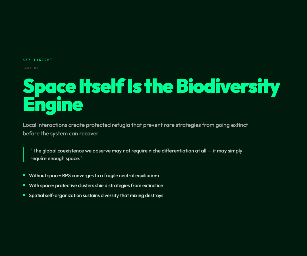 Spatial Structure Key Insight