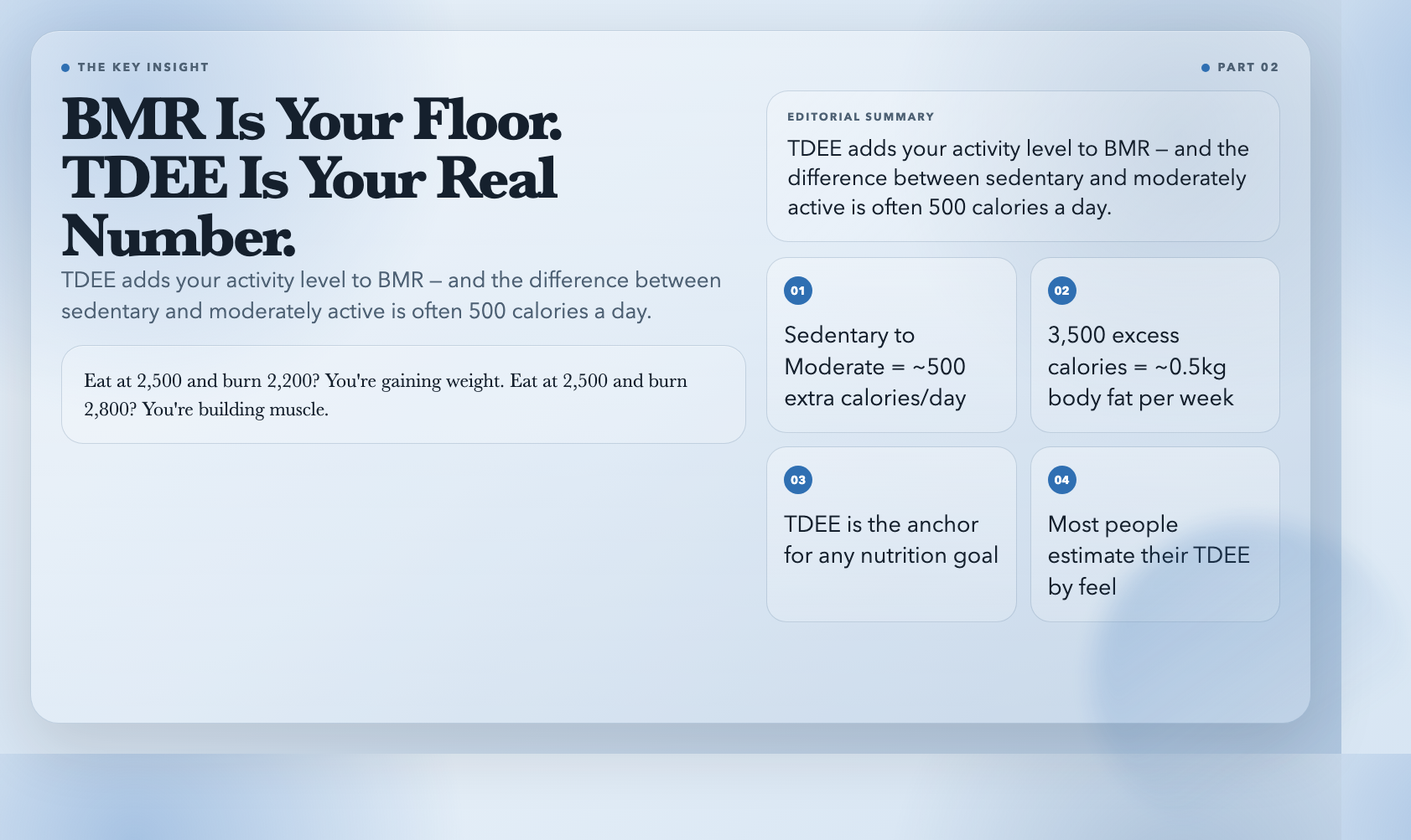 BMR Is Your Floor. TDEE Is Your Real Number.