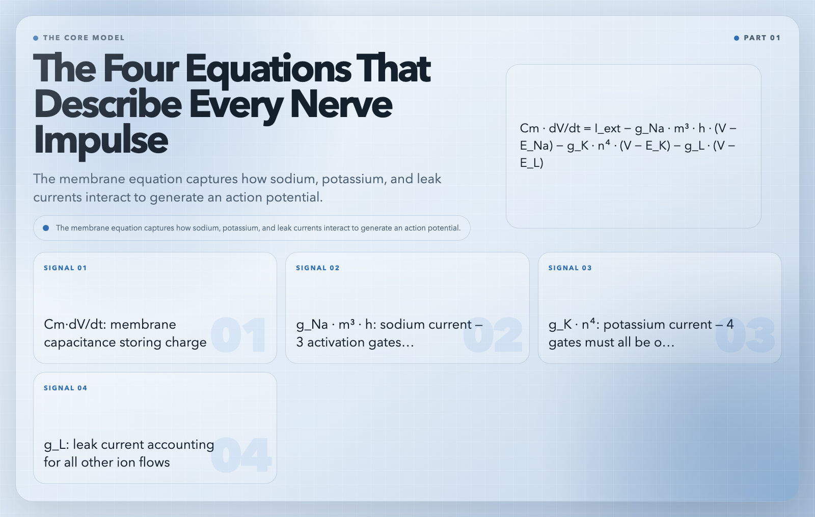 The Four Equations That Describe Every Nerve Impulse