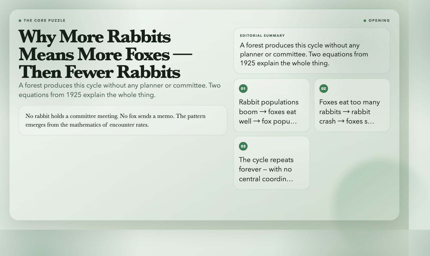 The Lotka-Volterra oscillation: rabbit boom drives fox boom, which drives rabbit crash