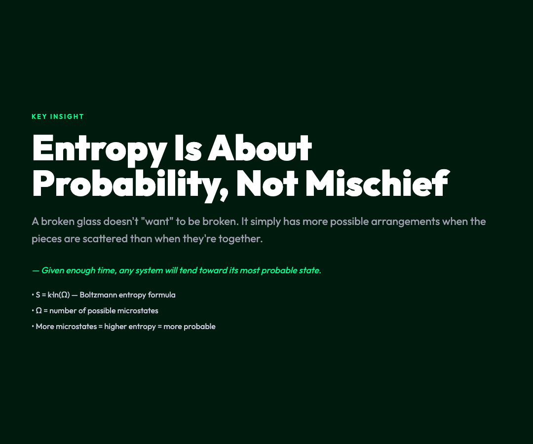 Entropy Insight