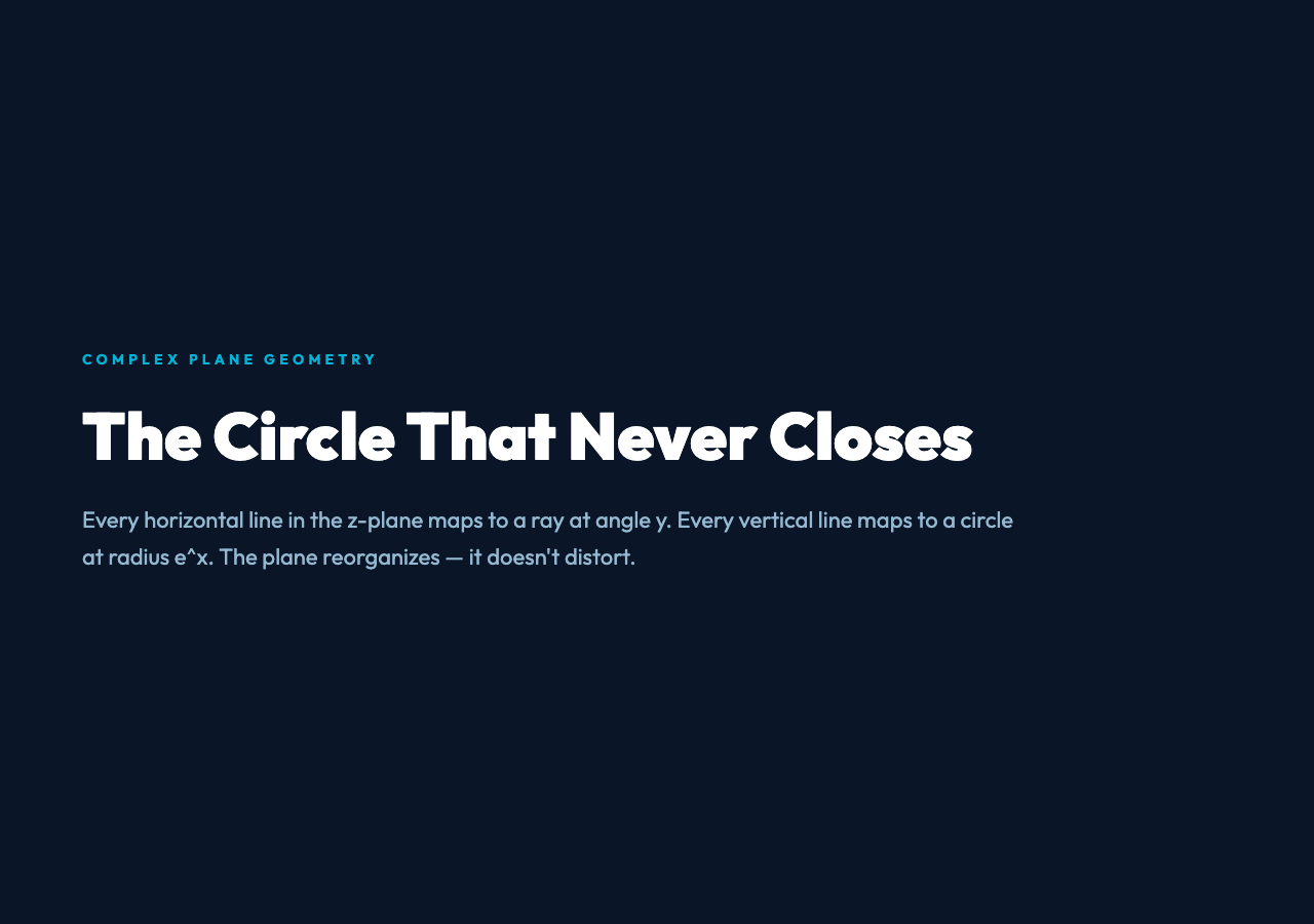 The Circle That Never Closes - complex exponential geometry