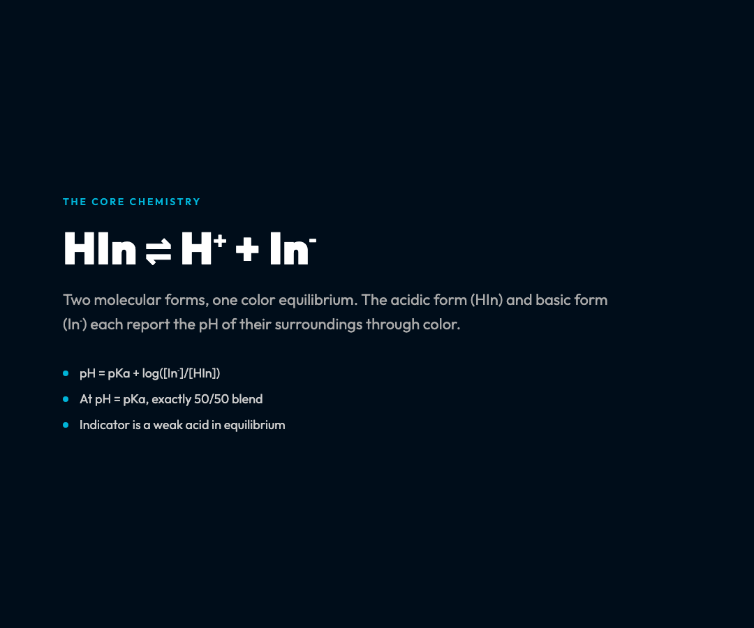 HIn Equilibrium