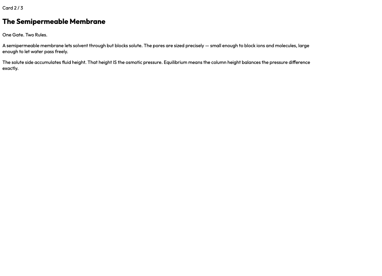 Semipermeable membrane — solvent passes, solute blocked