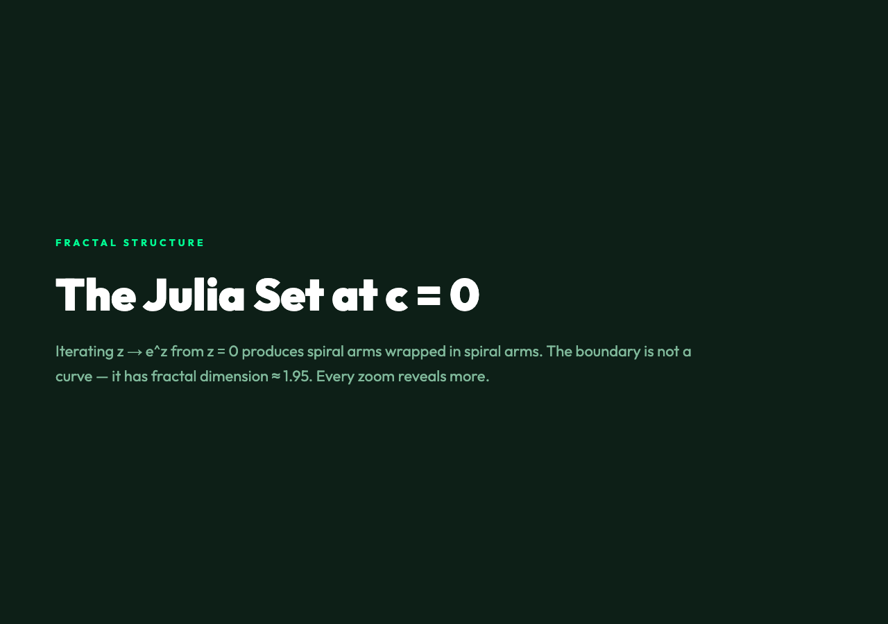 The Julia Set at c=0 - fractal structure of complex exponential