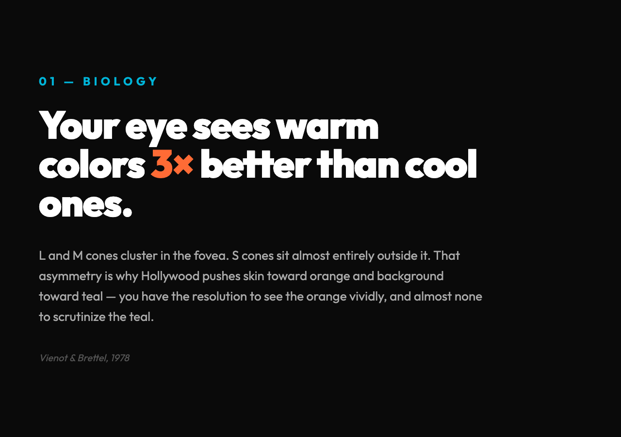 Your eye sees warm colors 3x better than cool ones. The L-M-S cone asymmetry is why teal-and-orange works.