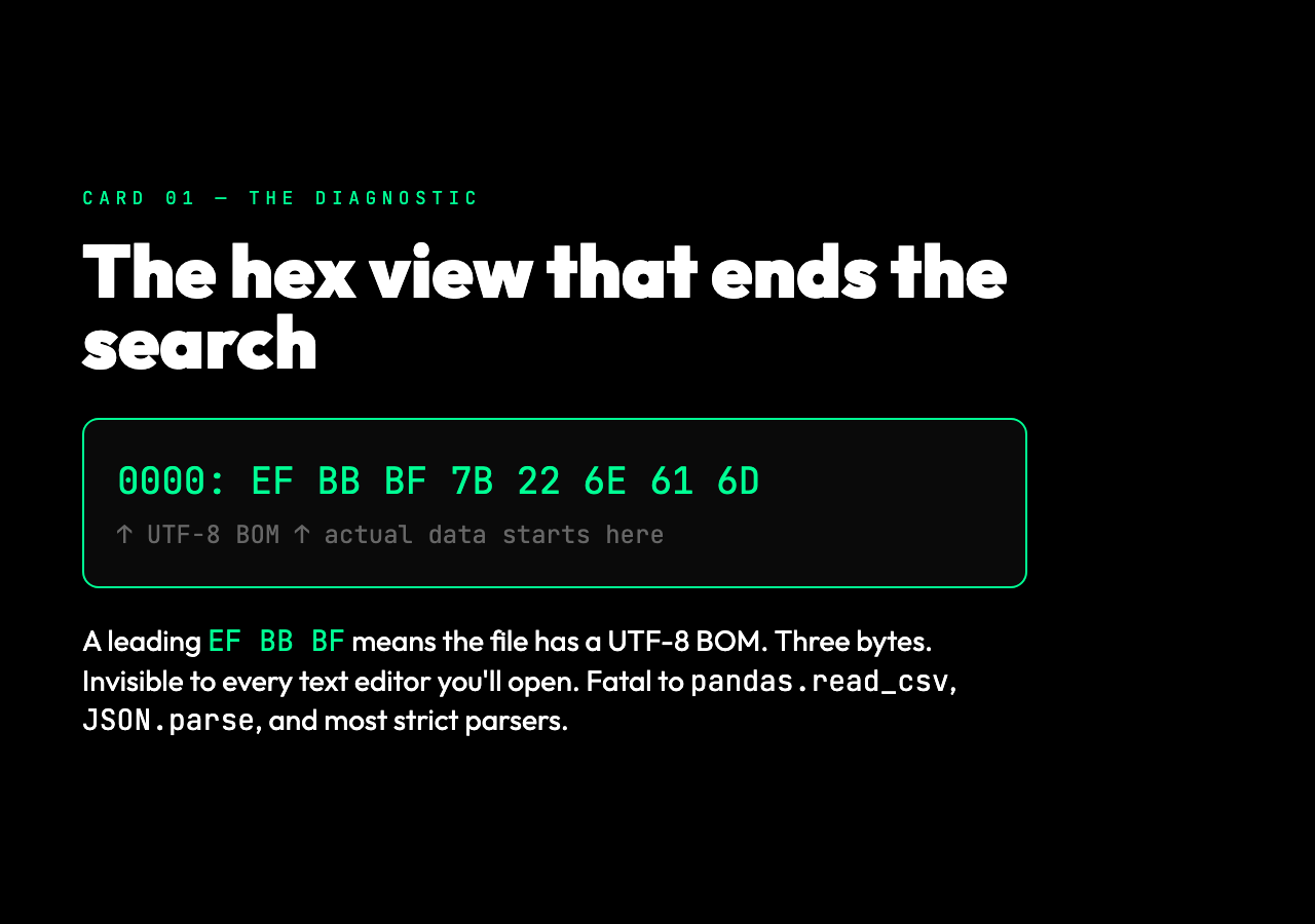 The hex view that ends the search: leading bytes EF BB BF (UTF-8 BOM) followed by the actual data, separated by 3 invisible bytes that break CSV and JSON parsers.