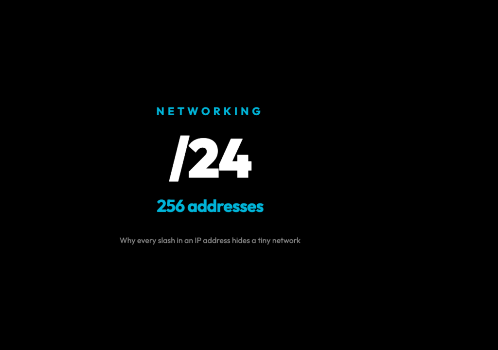 CIDR Calculator: a /24 prefix means 256 addresses — the slash is doing more work than it looks like