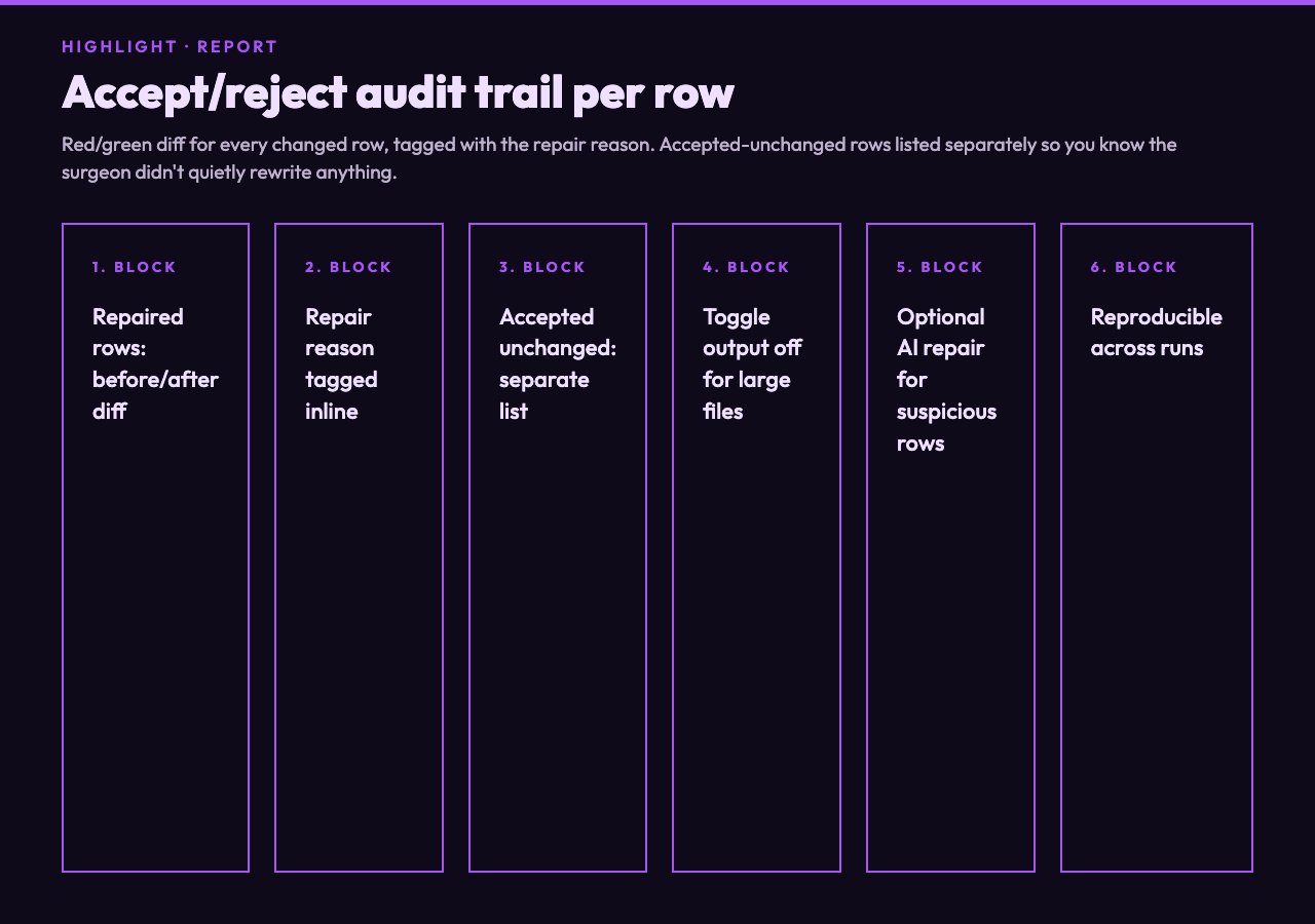 Repair report: row-level red/green diff, accepted unchanged list, cleaned CSV output