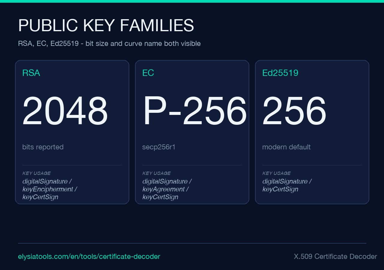 X.509 Certificate Decoder — public key families