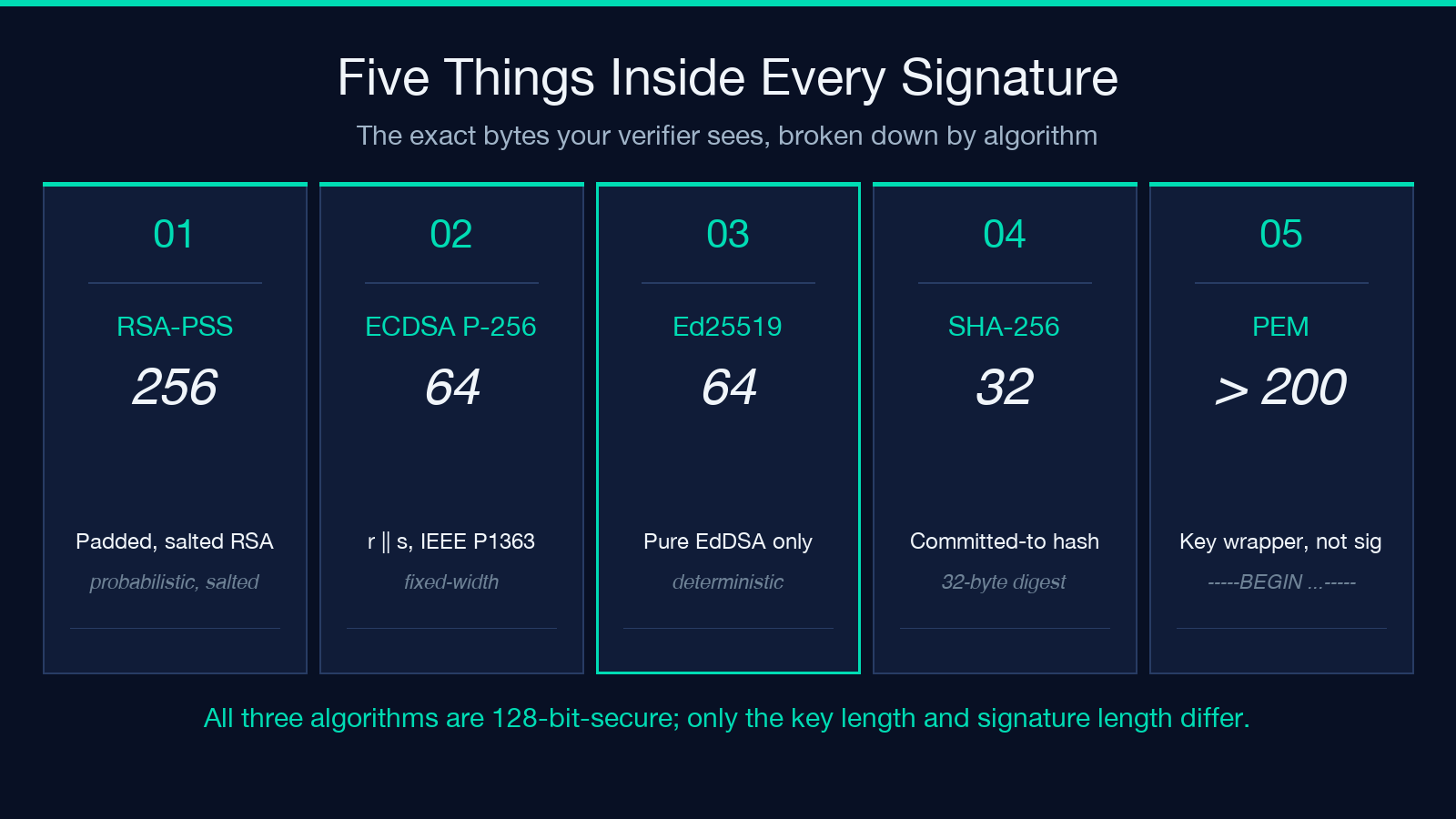 Five Things Inside Every Signature: RSA-PSS, ECDSA P-256, Ed25519, SHA-256, PEM