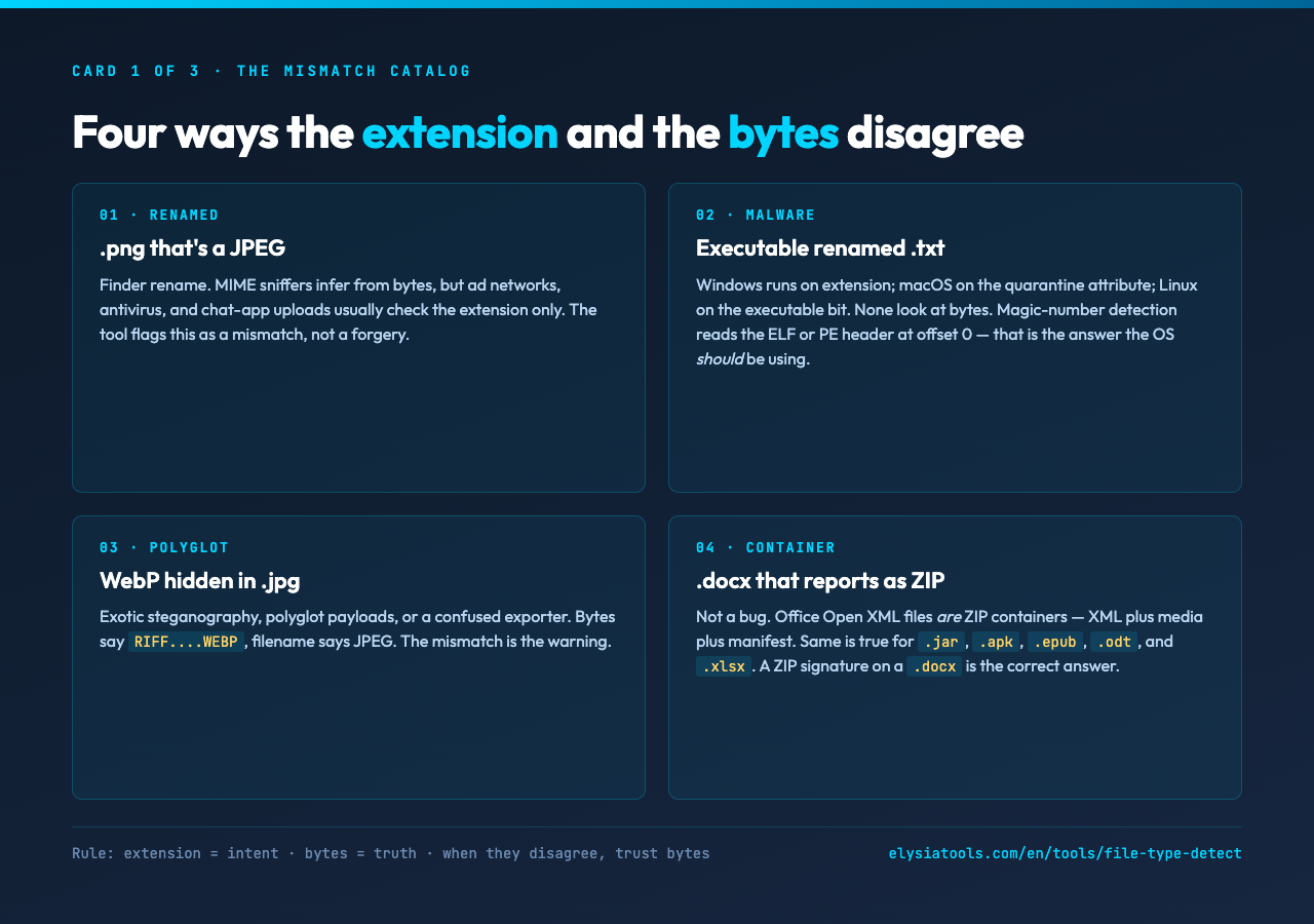 Card showing the four ways file extensions and bytes disagree: renamed, malware, polyglot, container