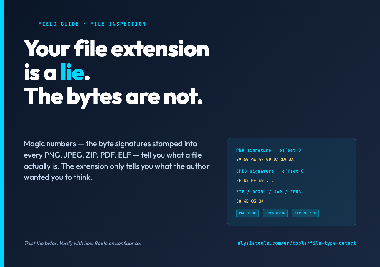 Dark poster for File Type Detector article: 'Your file extension is a lie' with PNG, JPEG, ZIP hex signatures