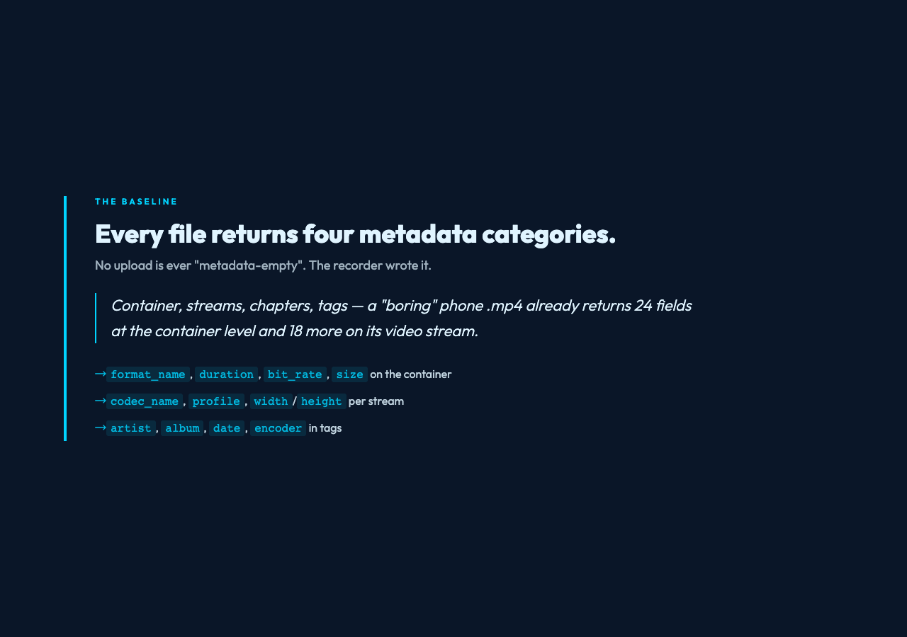 Card showing the four metadata categories every media file contains