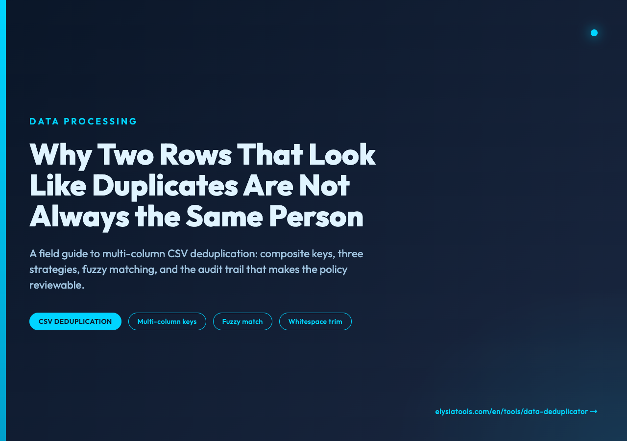 Why two rows that look like duplicates are not always the same person — Data Deduplicator poster