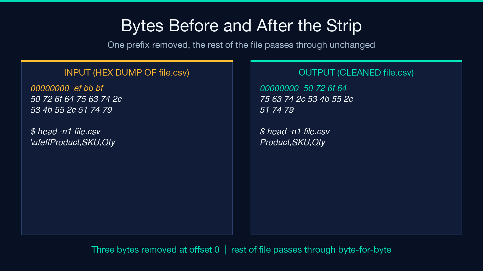 Bytes before and after the BOM strip