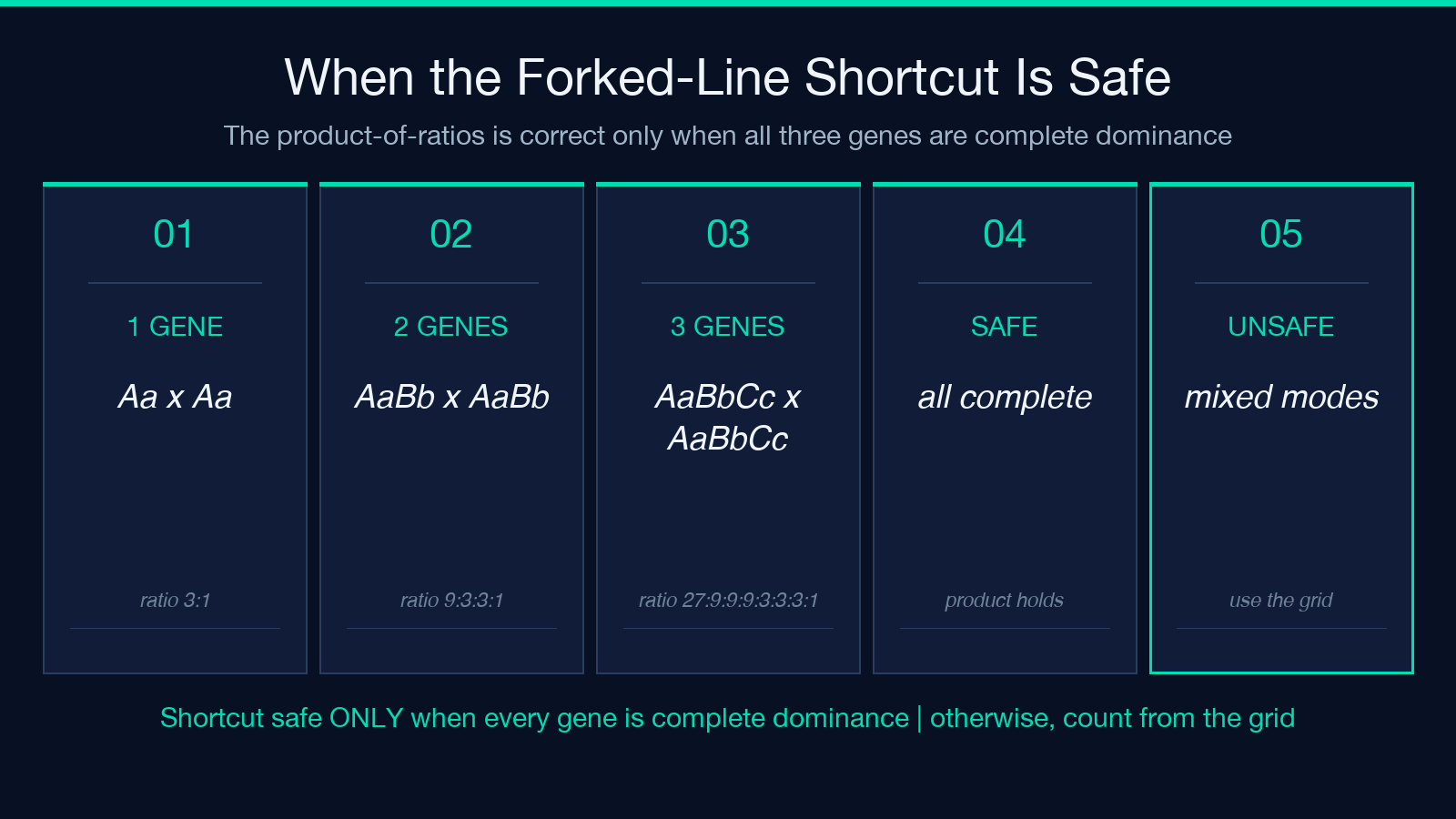 Forked-line vs Punnett grid: four scenarios showing when the shortcut product matches the cell-by-cell tally and when it does not