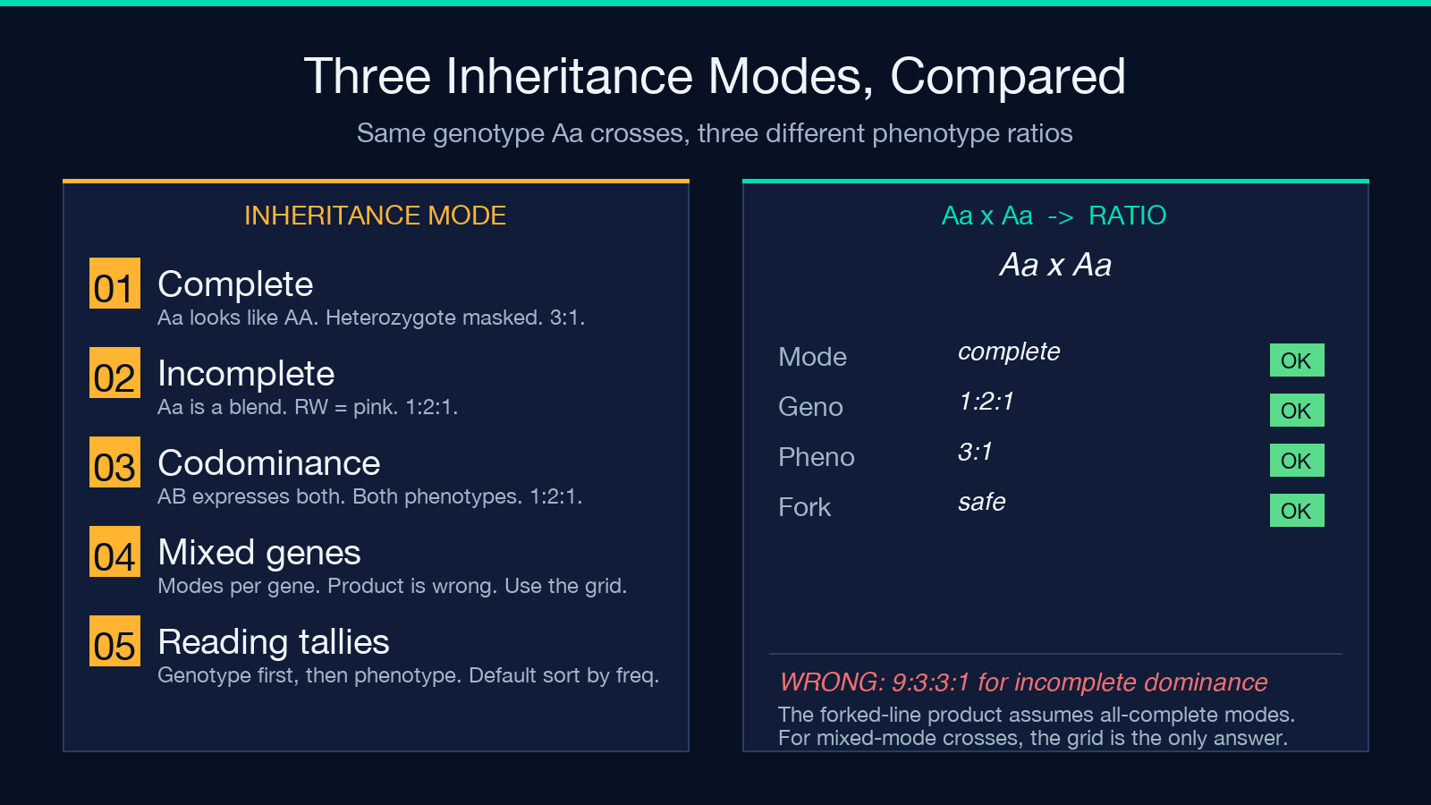 Three inheritance modes side by side: complete dominance, incomplete dominance, codominance — each with its monohybrid ratio and example phenotype