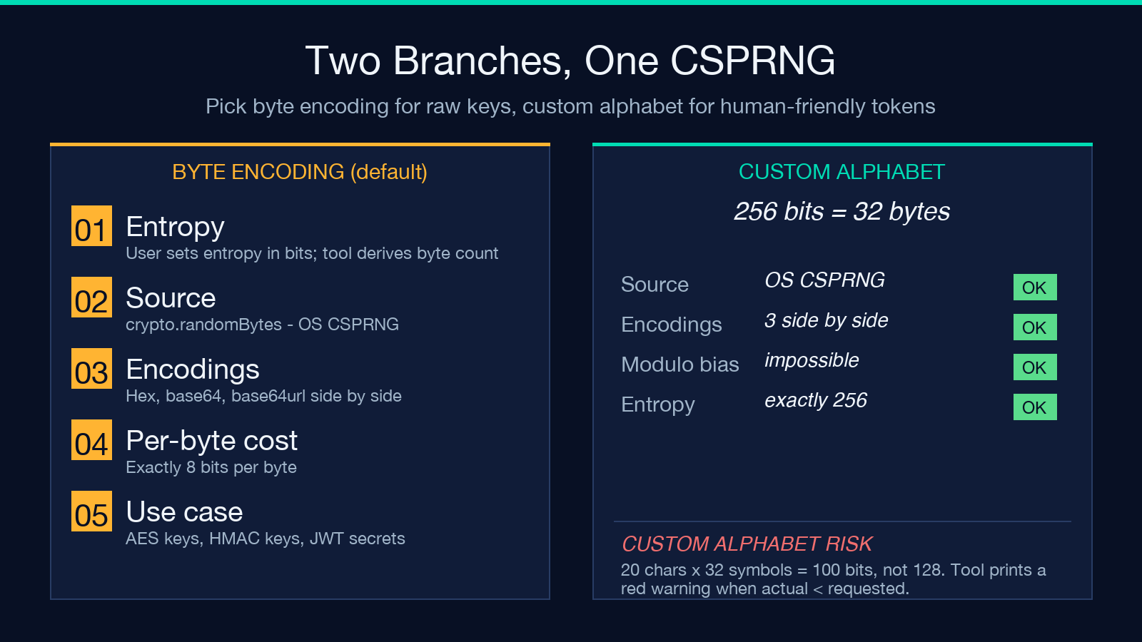 Audit card comparing byte encoding and custom alphabet branches with five checks