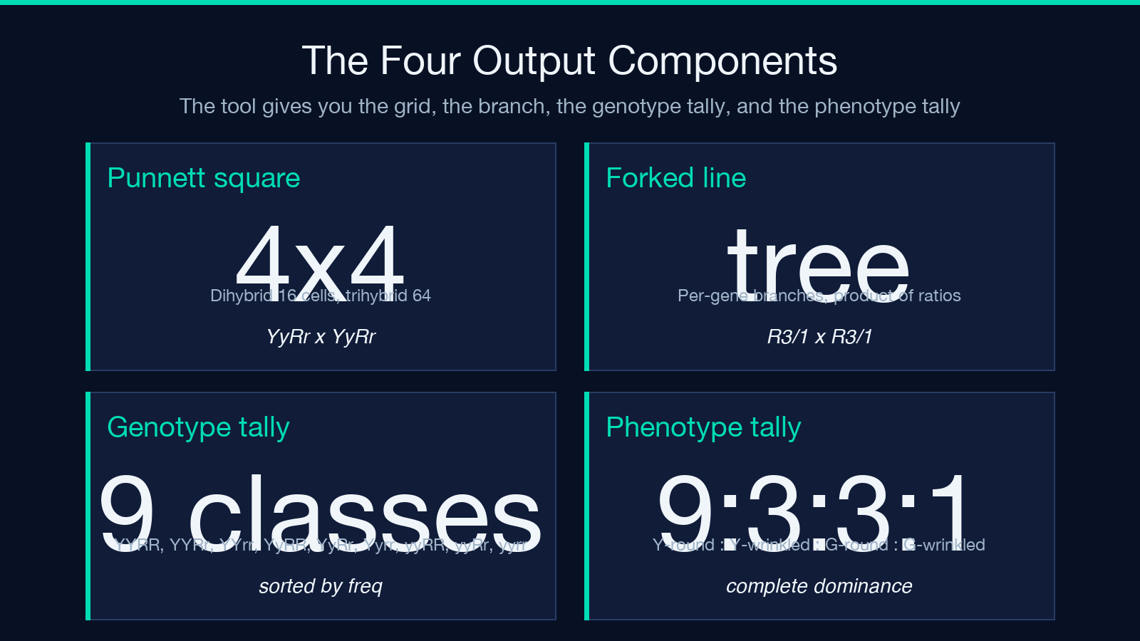 The four output components: Punnett square, forked-line diagram, genotype tally, phenotype tally — what each one shows and when to use it