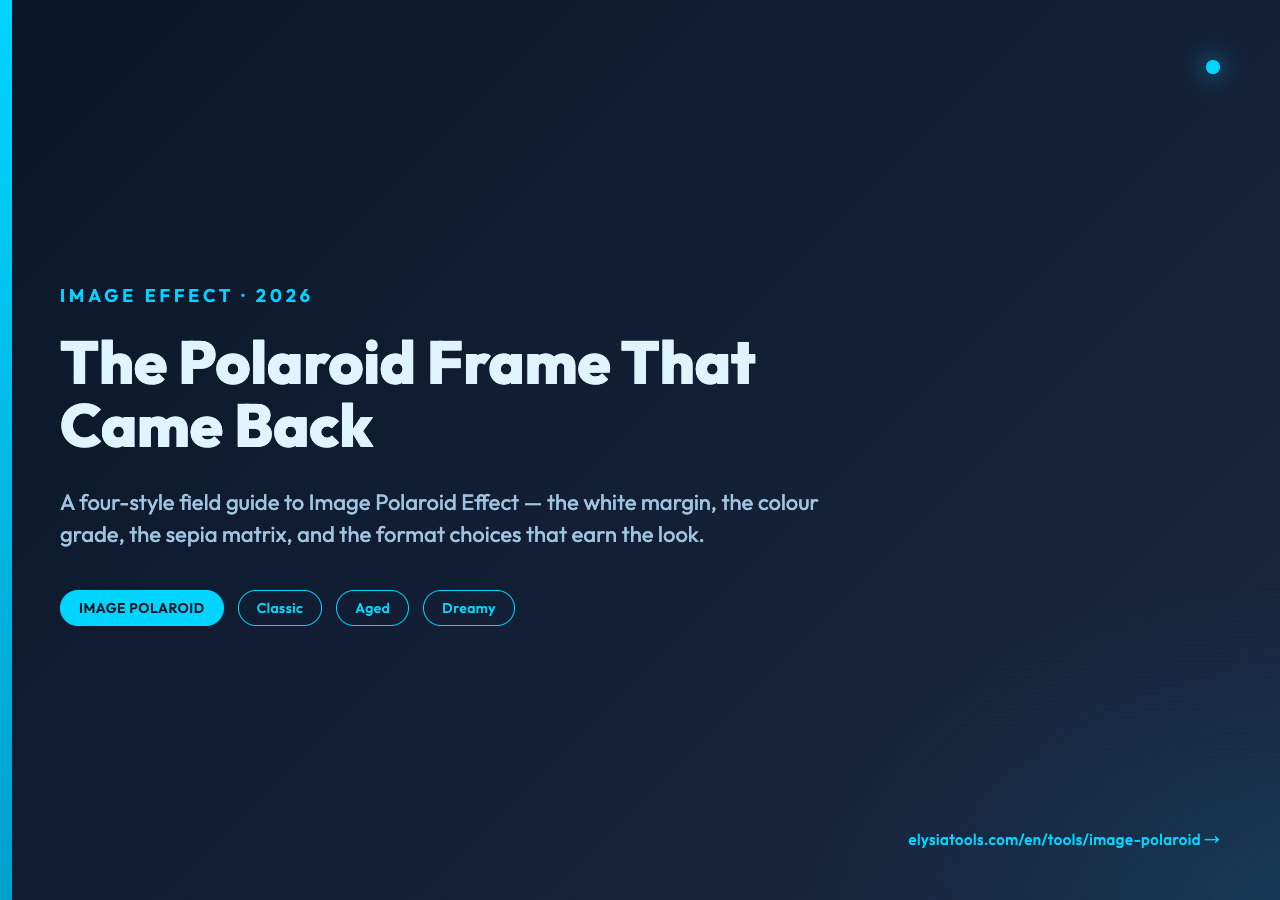 Poster for the Image Polaroid Effect field guide