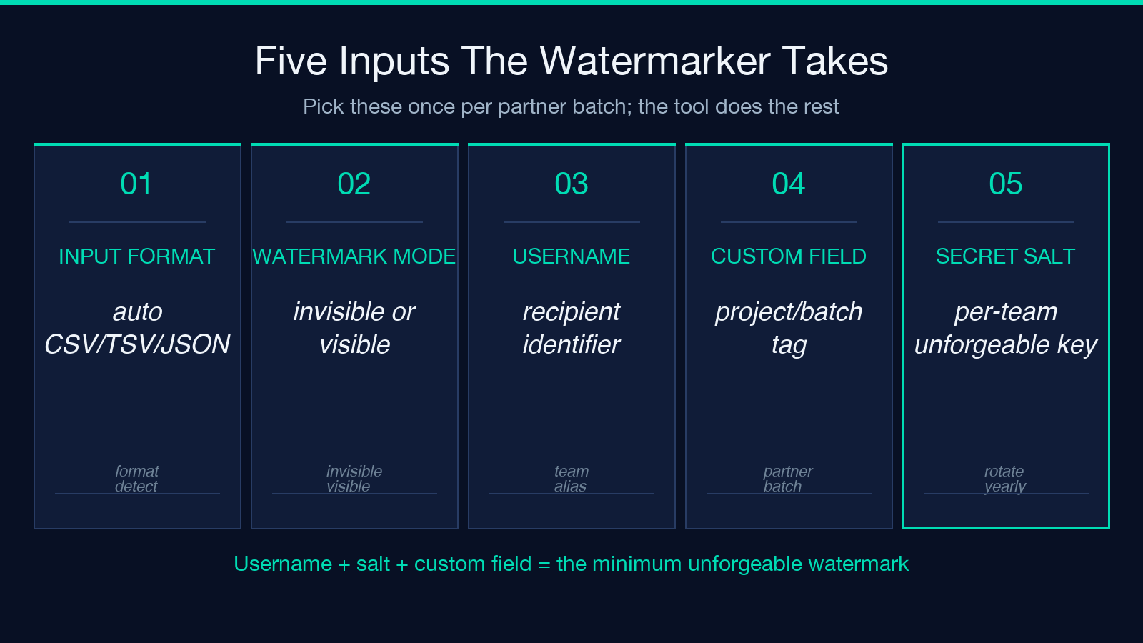 Five Inputs The Watermarker Takes — INPUT FORMAT, WATERMARK MODE, USERNAME, CUSTOM FIELD, SECRET SALT