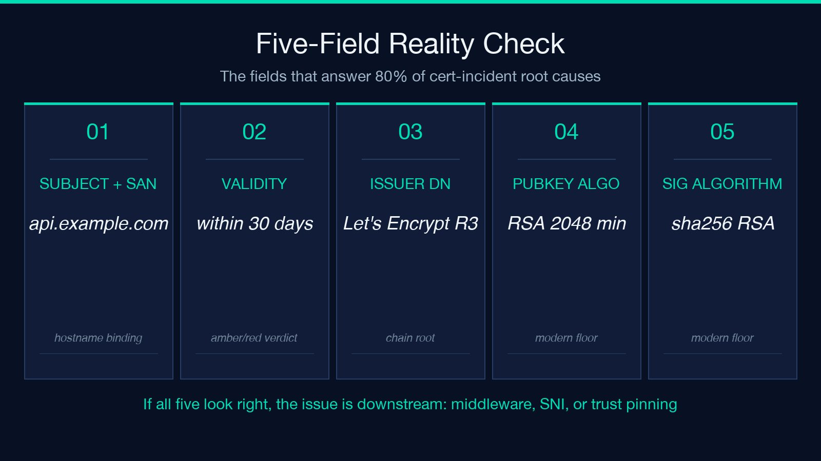 Five-Field Reality Check