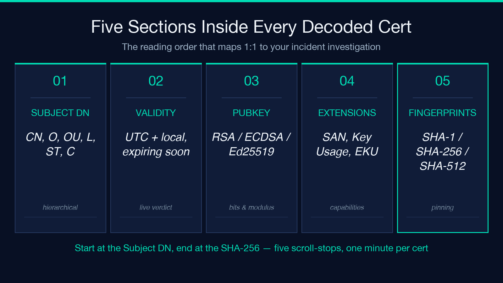 Five Sections Inside Every Decoded Cert