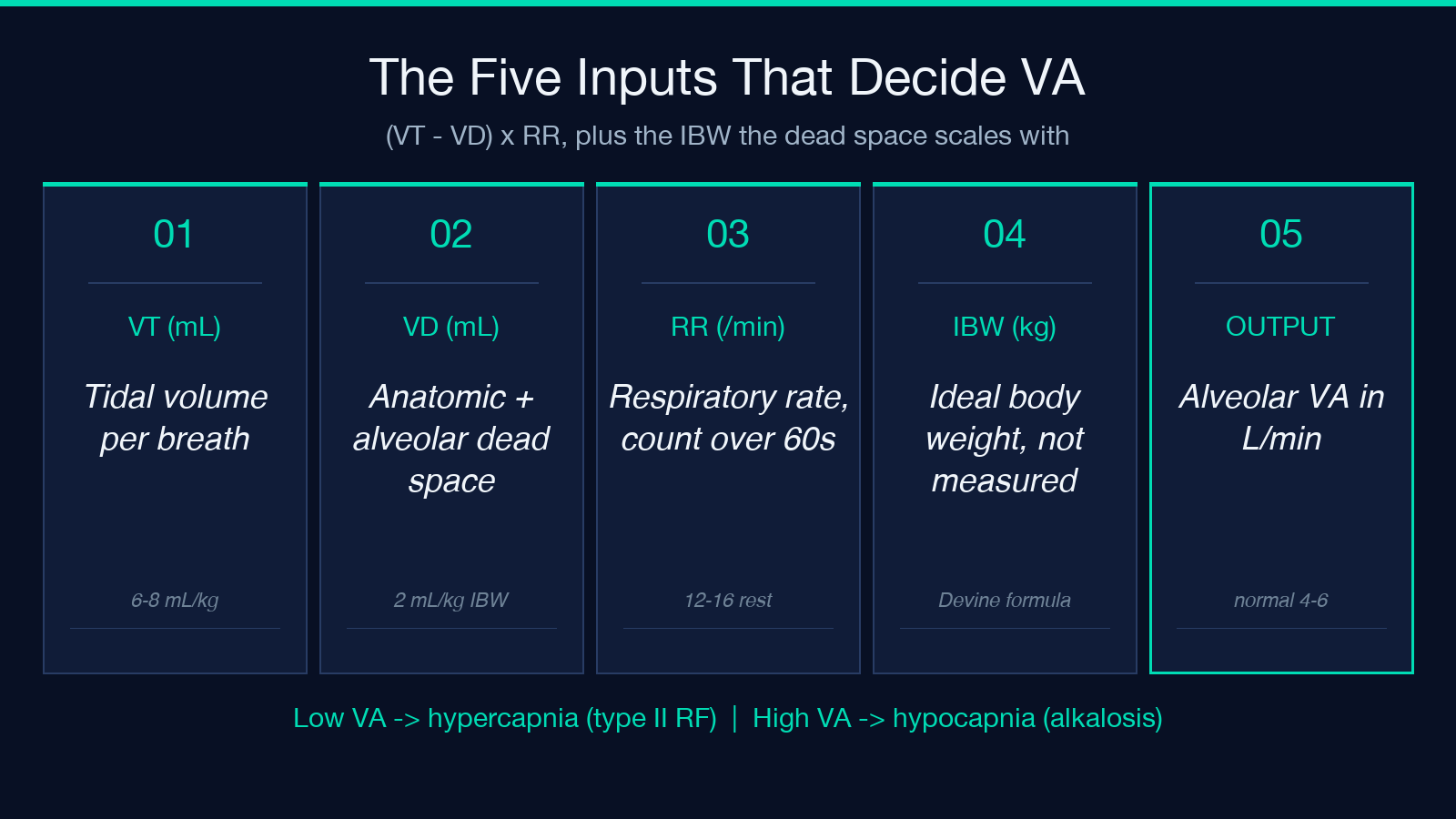 Five inputs that decide alveolar ventilation