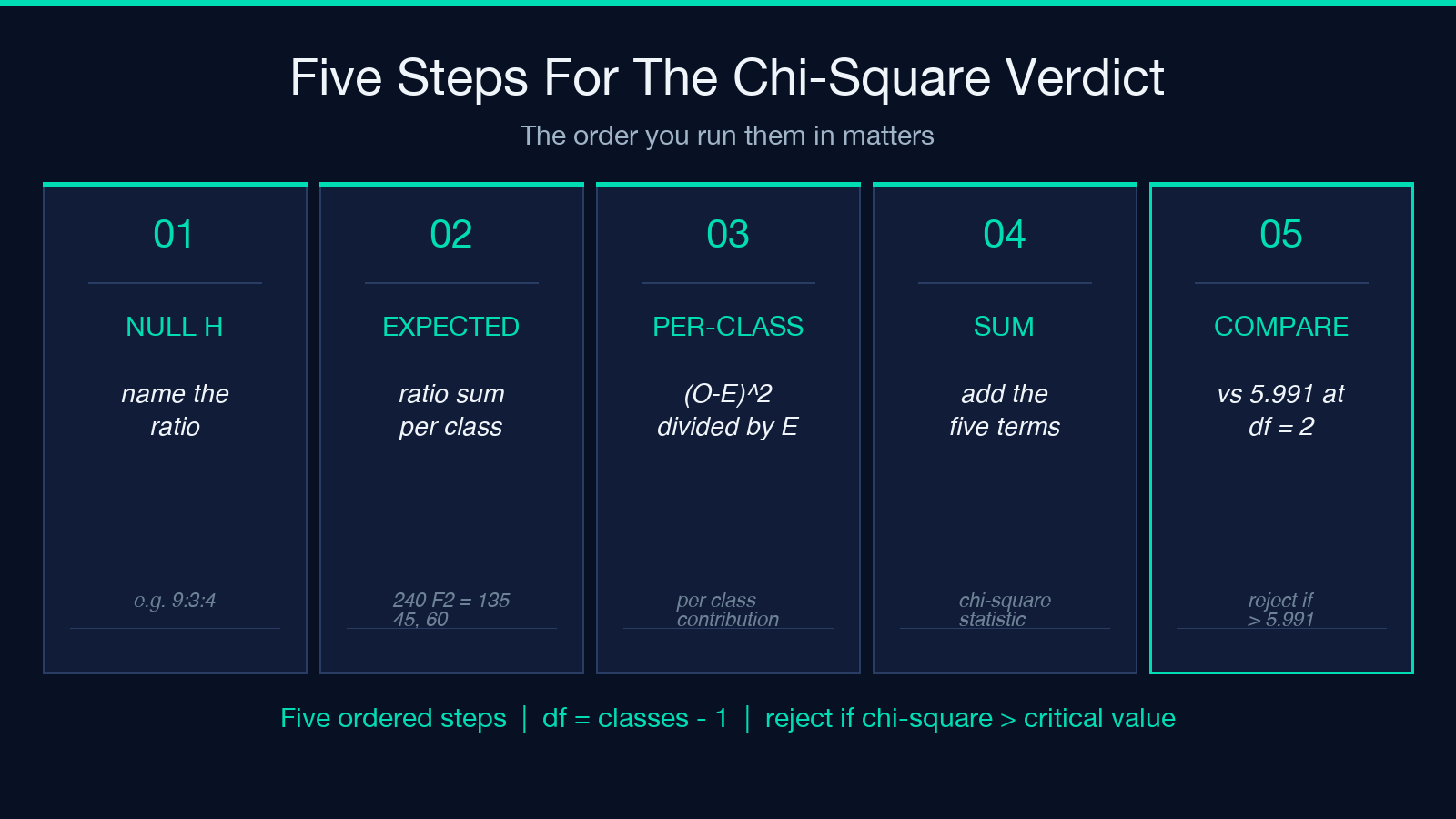 Five ordered steps for the chi-square goodness-of-fit: null hypothesis, expected counts, per-class contribution, sum, and compare to critical value.