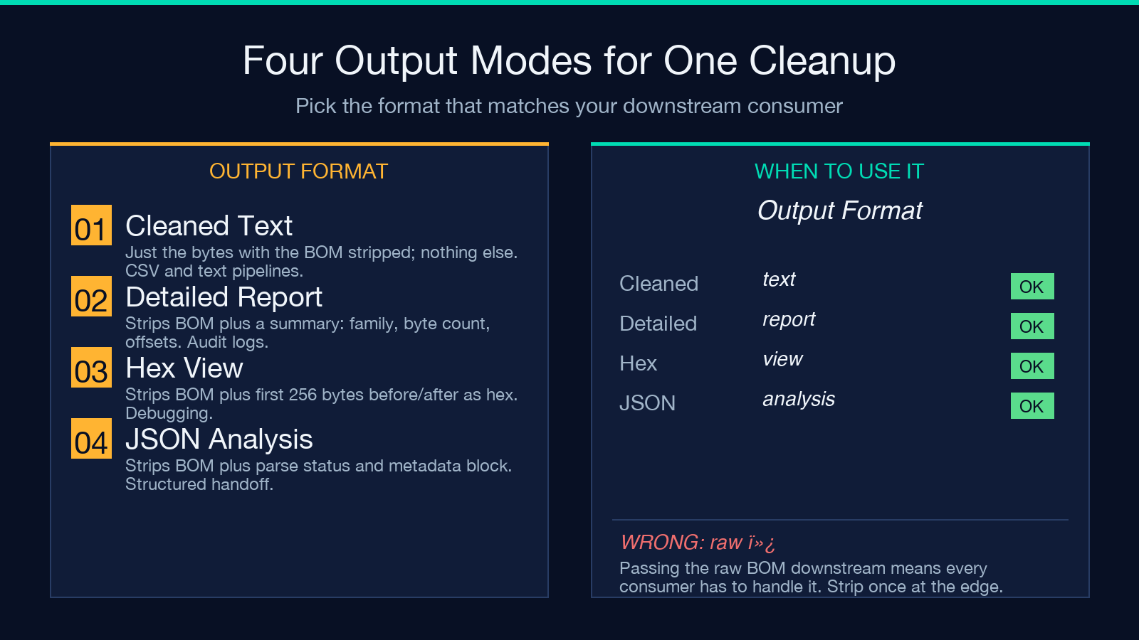 BOM cleanup output formats