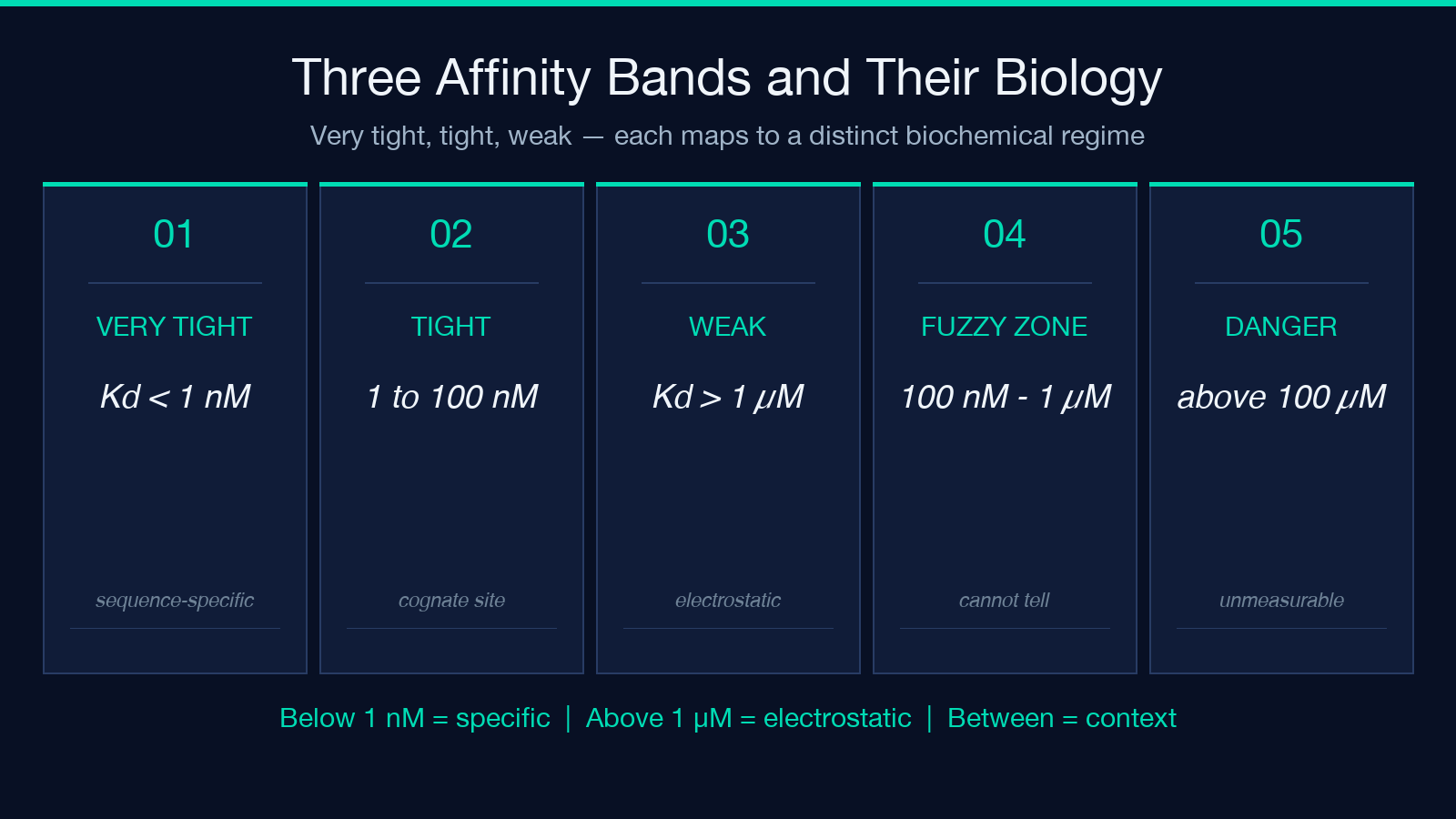 Three affinity bands and their biology