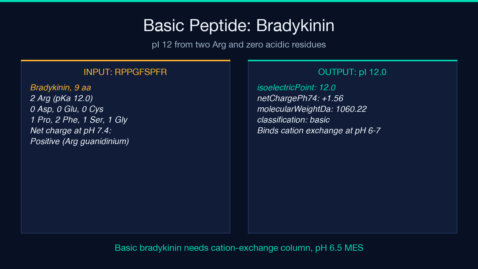 Basic peptide bradykinin worked example