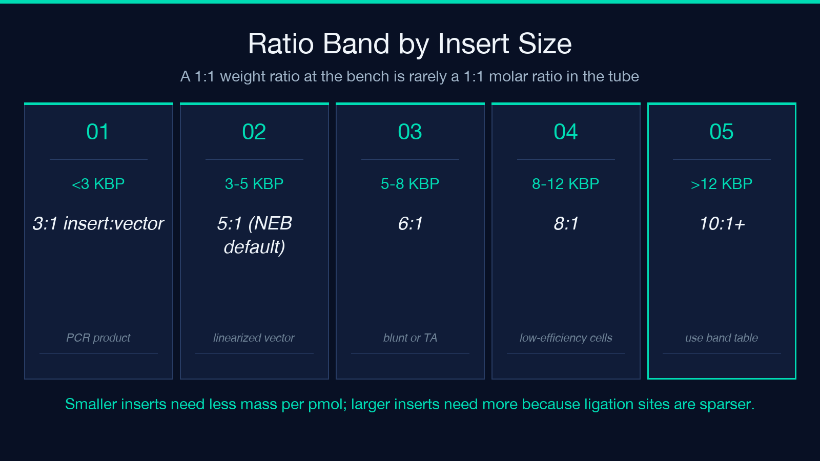 Ratio band cheatsheet by insert size for ligation molar ratio