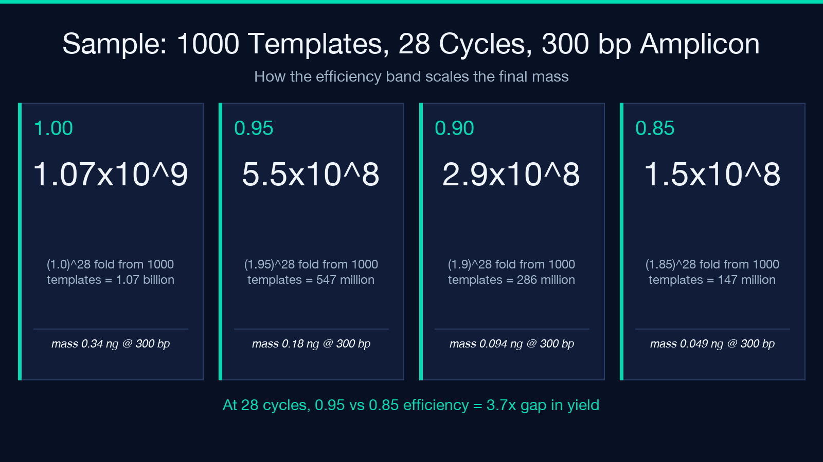Sample PCR calculation — 1000 templates at 28 cycles across efficiency bands