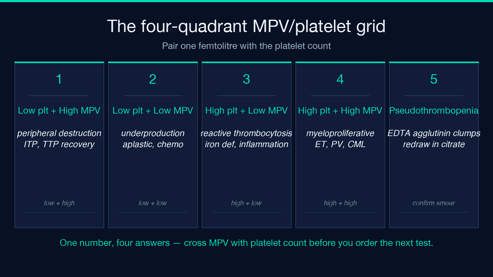 Highlight card 1 for MPV analyzer field guide