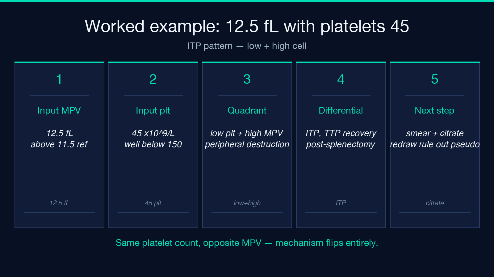 Highlight card 3 for MPV analyzer field guide