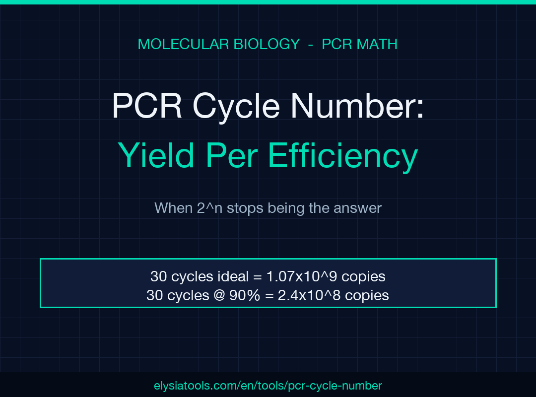 PCR Cycle Number and Product Amount Calculator — 2^n efficiency comparison poster
