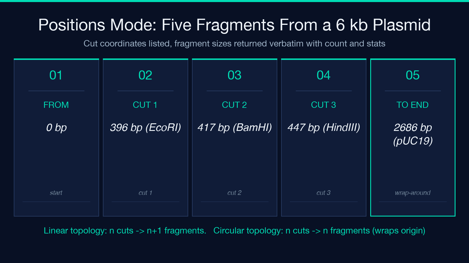 Positions Mode: Five Fragments From a 6 kb Plasmid card