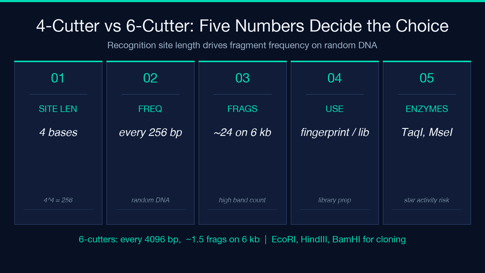 4-Cutter vs 6-Cutter: Five Numbers Decide the Choice card