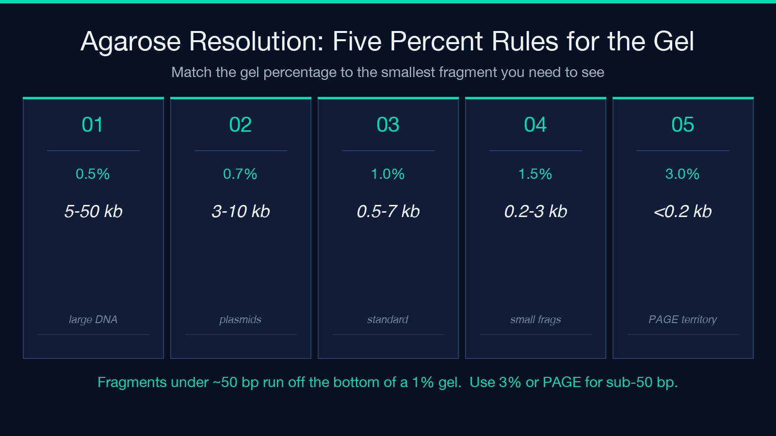 Agarose Resolution: Five Percent Rules for the Gel card