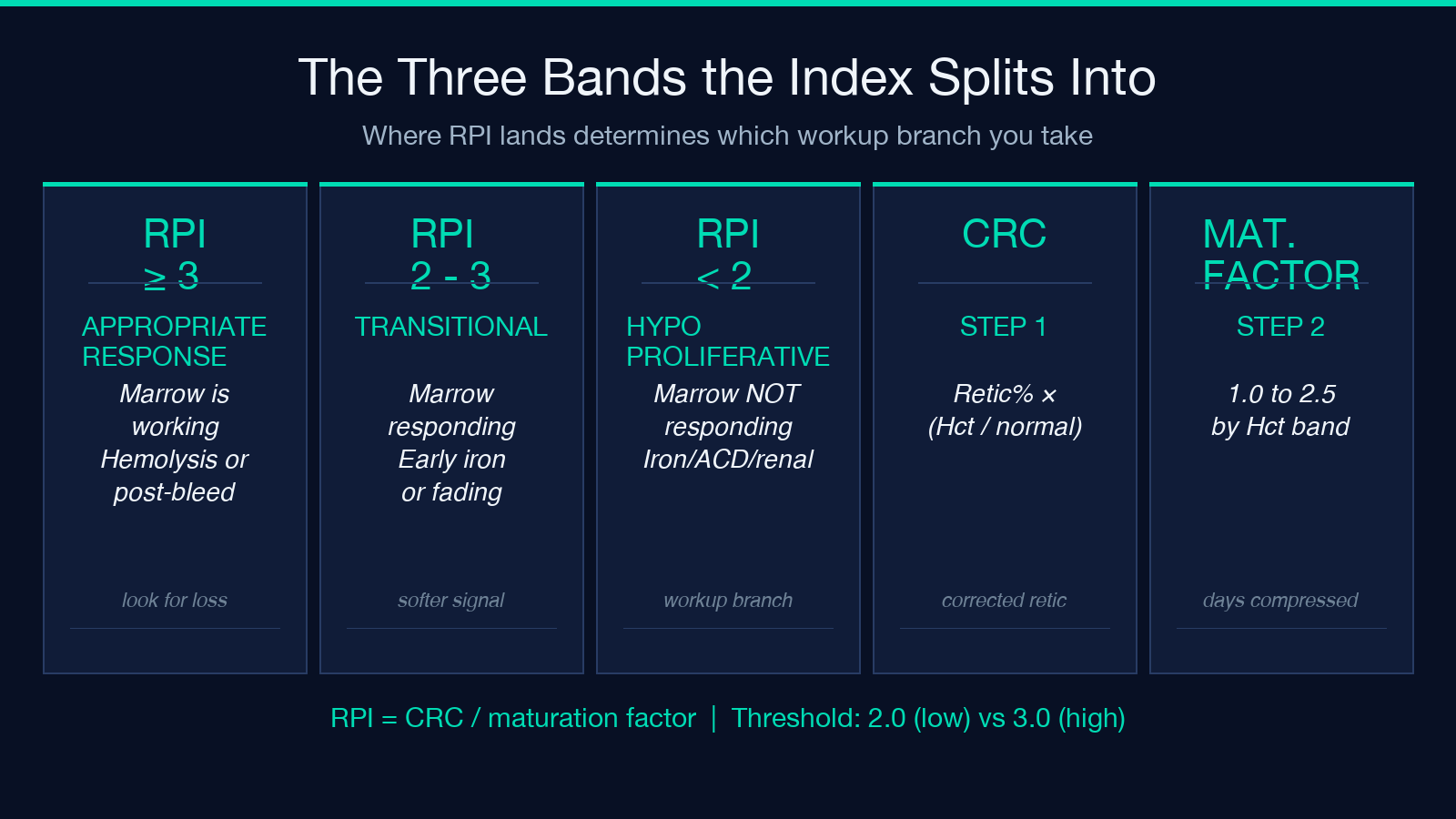RPI interpretation bands: hypoproliferative, transitional, appropriate response